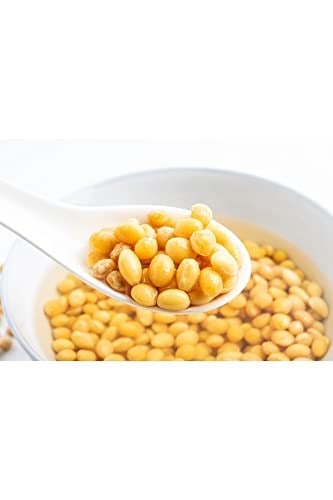 XUSHI GIDA Soya Fasulyesi ( Drıed Soybean) - 1000g