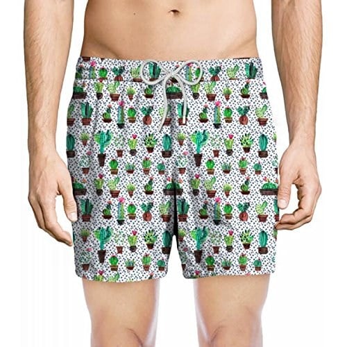 ZEYBRA Kaktüs Boxer Külot