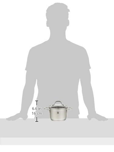 Zwilling 666531400 Paslanmaz Çelik Tencere 14cm, PICO