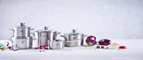 Zwilling Focus 5 Parça Tencere Seti, Paslanmaz Çelik, Gümüş Rengi
