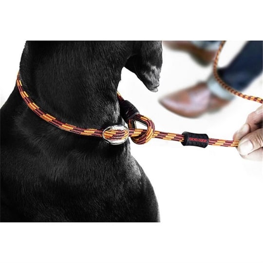 Ezydog Marine Leash Köpek Kayış