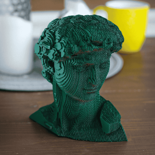 Cartonic 3D Puzzle - DAVID