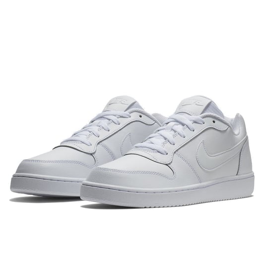 Nike Erkek Ayakkab Ebernon Low AQ1775 100