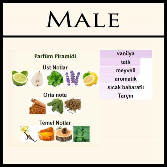 JP ULTRA MALE [Male] Erkek Parfümü