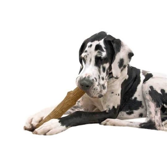 Petstages Durable Sticks 100 Do al Kemirme Tahtas LARGE