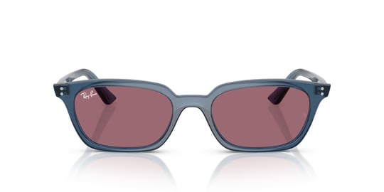 Ray-Ban 0RB 4456 Zaya 6677/81 53 Polarize Siyah Güneş Gözlüğü