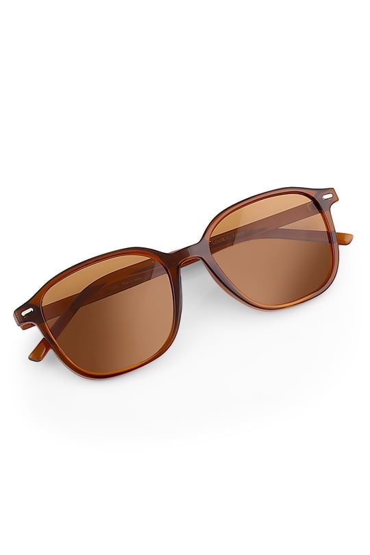 Louie - Brown Aviator Sunglasses