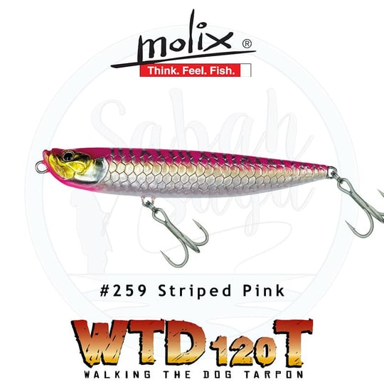 WTD 120T - Molix