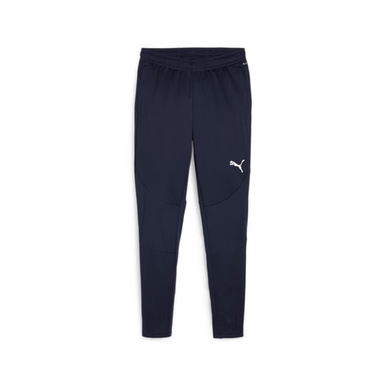 Puma Eşofman Altı TeamCup 23 658369-03 | Futbol & Antrenman