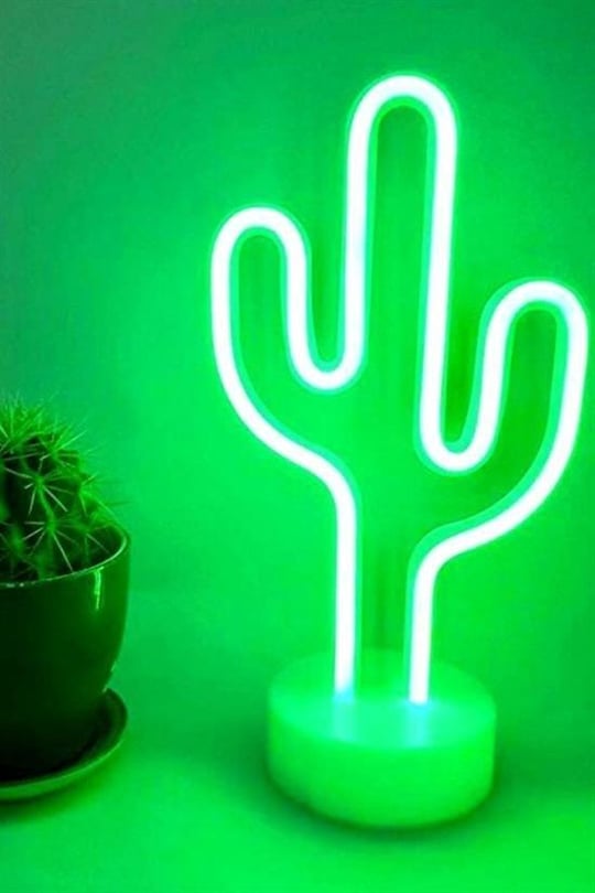Lampe Aesthetic Cactus