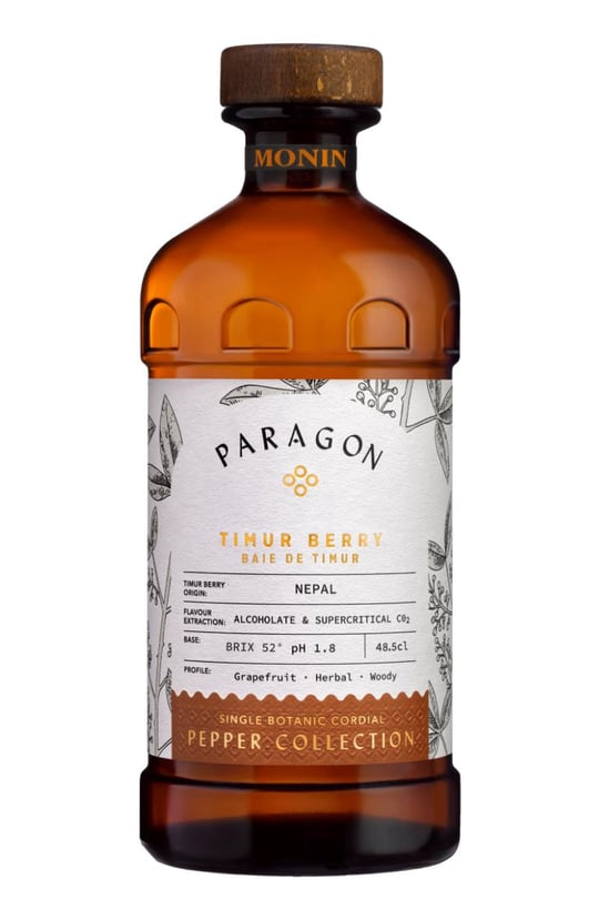 Monin Paragon- Vetiver 485 ml - Monin