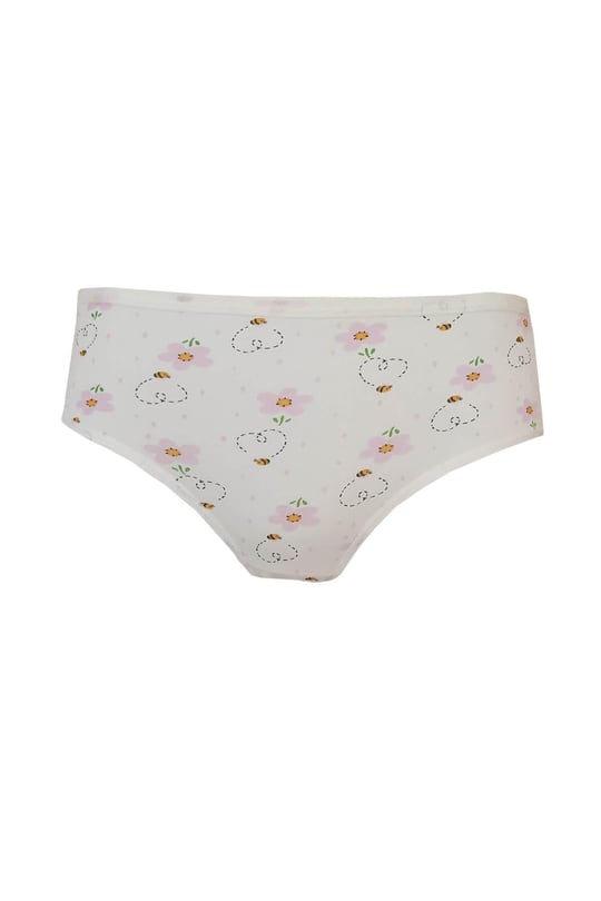 Gümüş Kız Çocuk Hello Kitty Desenli Slip Külot