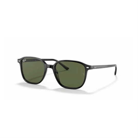 RayRay Ray-Ban RB 2193 663804 53 Leonard Unisex Güneş Gözlüğü - Erişkin Optik