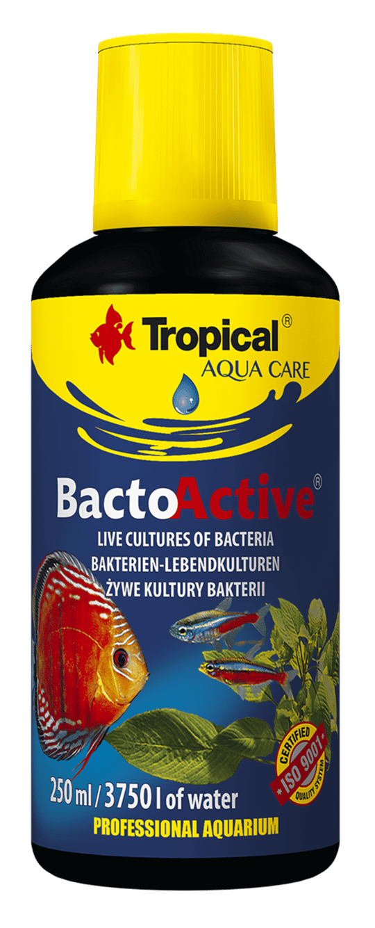 Bacterias Bacto Active 100 mL