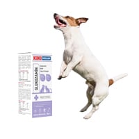 Köpek Vitaminleri
