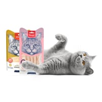 Kedi Ödülleri