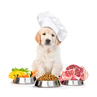 Köpek Mamaları