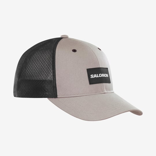 Salomon Trucker Curved Şapka Gri