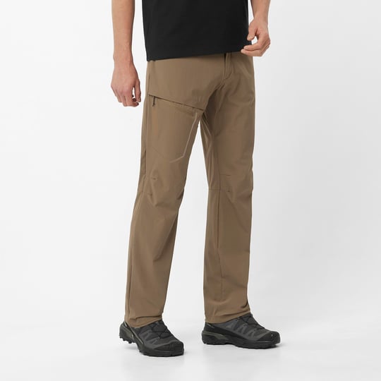 Short salomon wayfarer homme new arrivals