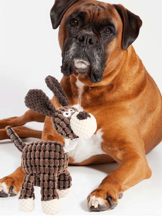 Köpek oyuncağı, köpek çiğneme oyuncak, eğitici köpek oyuncak ve Sağlam  yapı-kaliteli ip- Gri donkey modeli