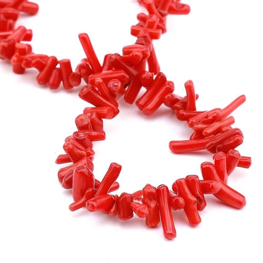 Orqadan katta dumbali qizning yuqori sifatli fotosurati Ogiz surati