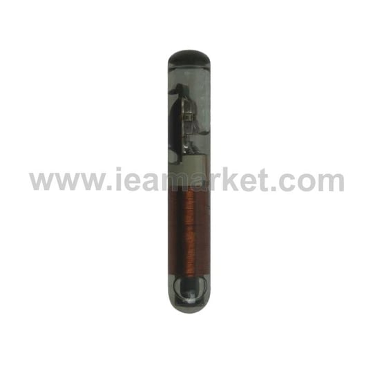  4D 60 DST 80 BIT CHIP