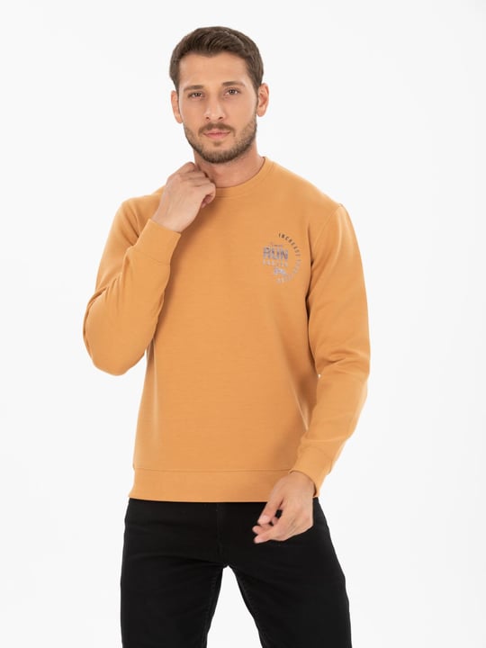 Men Printed Crew Neck Sweatshirt Wholesale Peach Color From Turkey