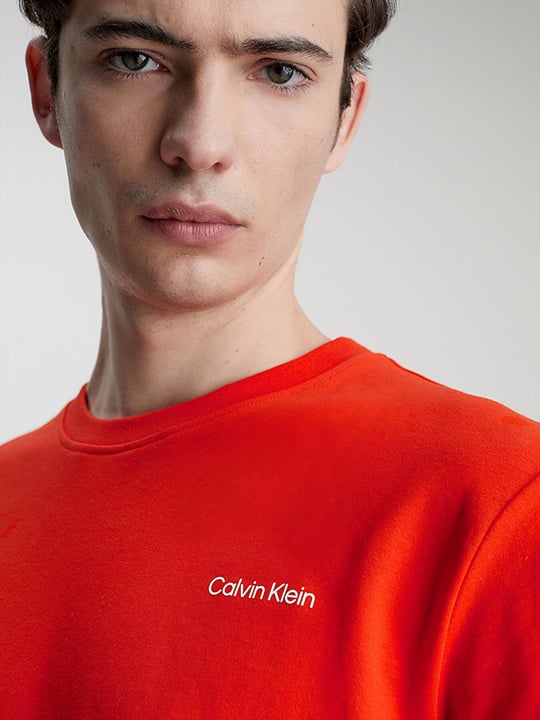 Calvin Klein Calvin Kleın Erkek Logolu Kısa Kollu Pamuklu Kırmızı T-Shirt K10K109894-SB1
