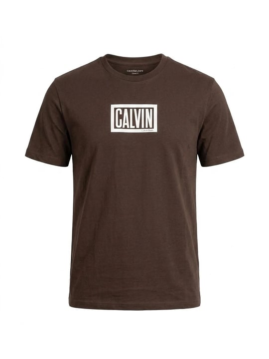 Calvin Klein Calvin Klein Erkek Regular Fit Kutu Logo Grafik Baskılı Bisiklet Yaka Kısa Kollu Kahverengi T-Shirt LV04RH818G-WFM