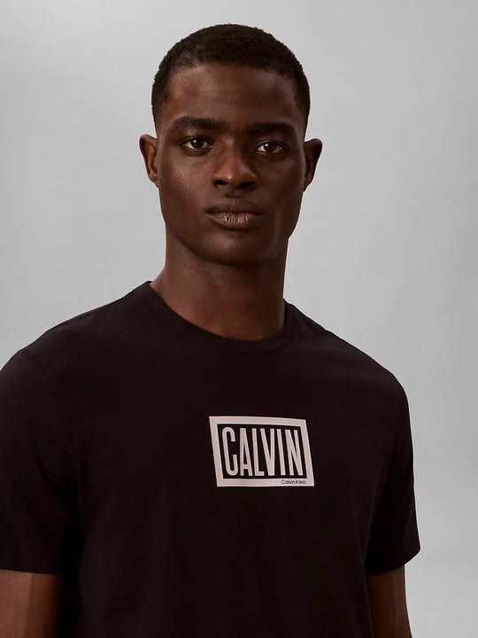 Calvin Klein Calvin Klein Erkek Regular Fit Kutu Logo Grafik Baskılı Bisiklet Yaka Kısa Kollu Siyah T-Shirt LV04RH818G-UB1