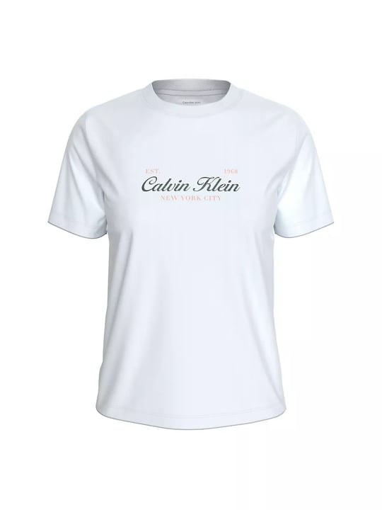 Calvin Klein Calvin Klein Kadın Normal Kesim Yuvarlak Yakalı Logo Baskılı Pamuklu Kısa Kollu Beyaz T-Shirt LV047G804G-YAF