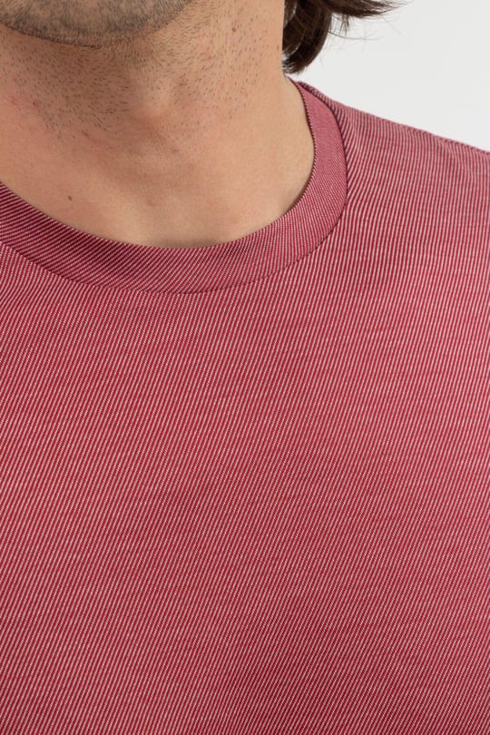 Emporio Armani Emporıo Armani Erkek Desenli Yuvarlak Yaka Kısa Kollu Kırmızı T-Shirt 3K1TA7 1JSKZ-303