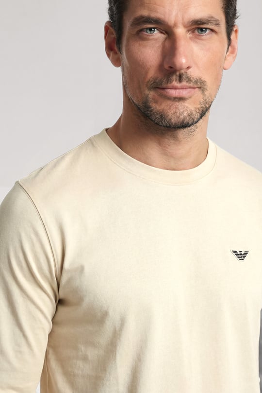 Emporio Armani Emporıo Armani Erkek Kartal Logo İşlemeli Yuvarlak Yakalı Uzun Kollu Vizon T-Shirt EM005362 AF13669-U1156