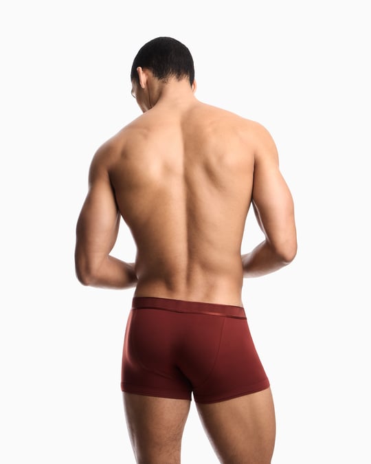 Emporio Armani Emporıo Body Erkek Nefes Alabilen Esnek Jarse Kumaşlı Elastik Bel Bantlı Kırmızı Boxer EM000231 AF25034-U5037