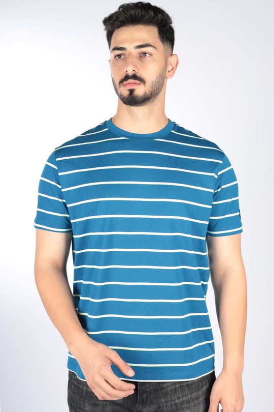 Paul Shark Paul Shark Erkek Marka Logo Detaylı Çizgili Regular Fit Kısa Kollu Mavi-Sarı T-Shirt 23411082-265