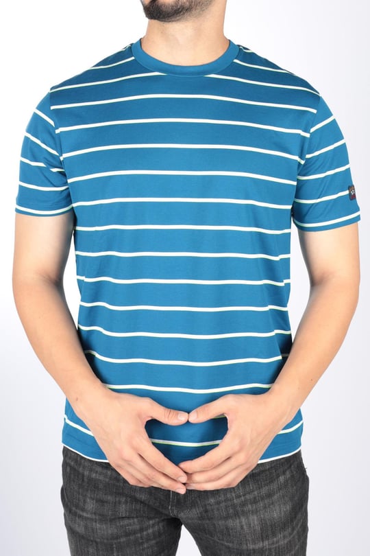Paul Shark Paul Shark Erkek Marka Logo Detaylı Çizgili Regular Fit Kısa Kollu Mavi-Sarı T-Shirt 23411082-265