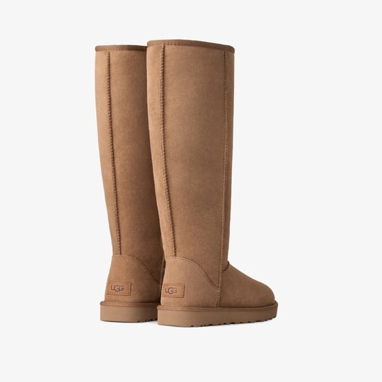 UGG UGG Kadın Süet Dış Yüzeyli İçi Doğal Yünlü Logo Kabartmalı Yüksek Taba Bot & Bootie 1182132-CHESTNUT
