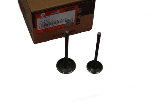 APACHI XZ 250R CROSS 17 HP 2 VALVE - ASYA RX 250 I Mac Moto