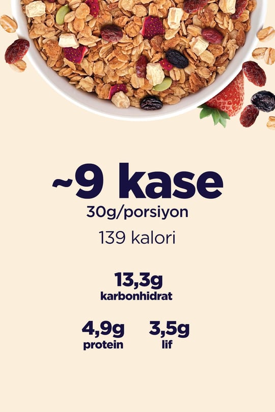 Fellas Protein Granola - Kırmızı Meyveler 270g