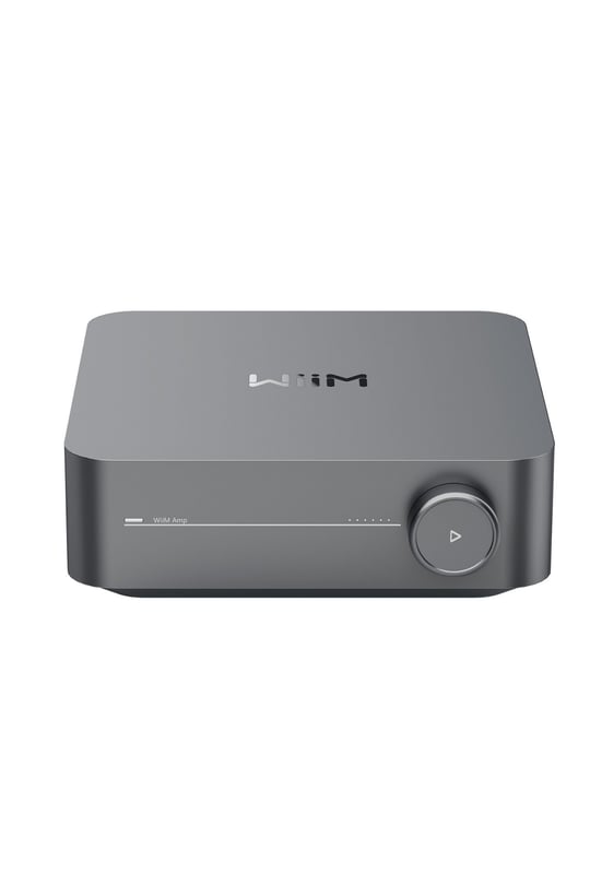 WiiM Pro Plus Kablosuz Ses Akışı Cihazı