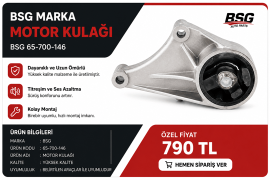 BSGBSG MARKA MOTOR KULAĞIBSG 65-700-146 / 24459803