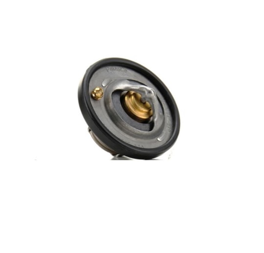 Ford Focus 1998-2002 Termostat 82 Lik Bsg Marka 96MM8575A1A