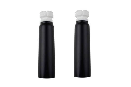 GVAKarl H B1pkBILSTEIN 11-305842