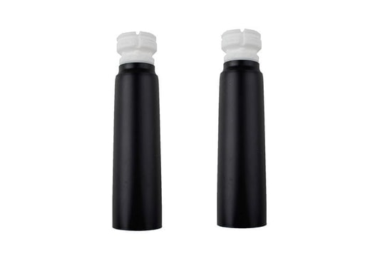 GVAKarl H B1pkBILSTEIN 11-305842