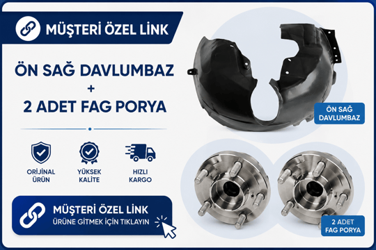 FAGön sağ davlumbaz ve 2 adet fag porya6164 wp