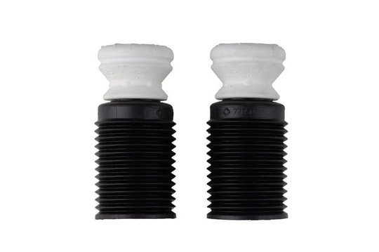GVAX3 F25 X4 F26 H B1pkBILSTEIN 11-305897