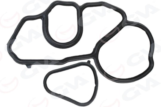 GVAYağ Filtre Conta Takımı Bmw F20 F30 N13GVA 8499705