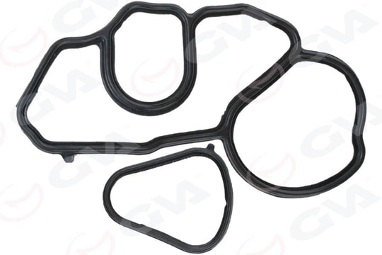 GVAYağ Filtre Conta Takımı Bmw F20 F30 N13GVA 8499705