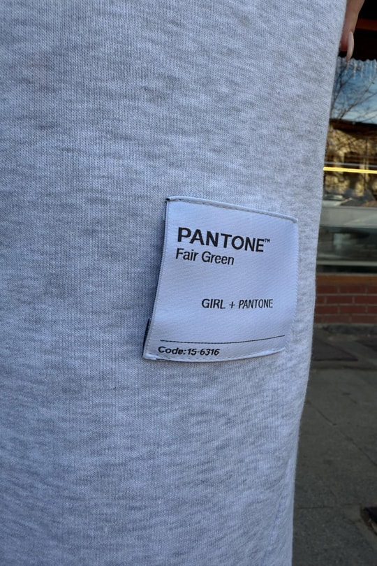 Pantone Jogger Alt Gri Melanj