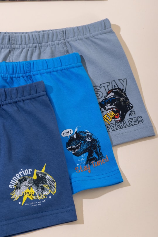 Erkek Çocuk Pamuklu Baskılı Rahat Kesim Likralı Boxer 3'lü Paket 3568 Renkli